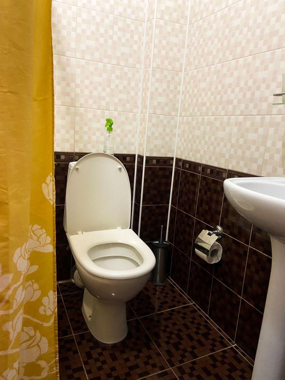 Фото Камела