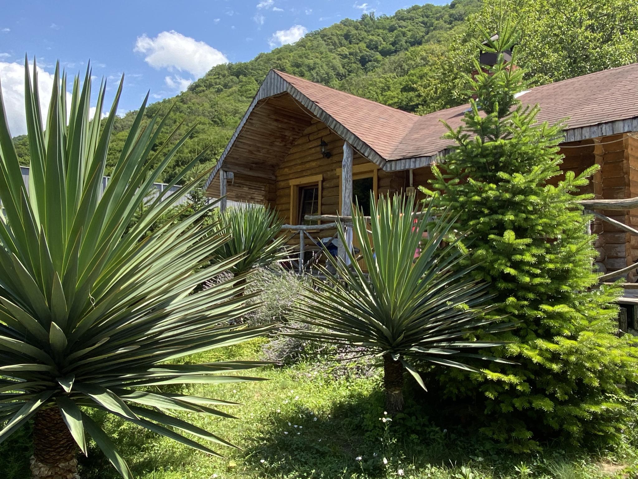 Фото Отрада