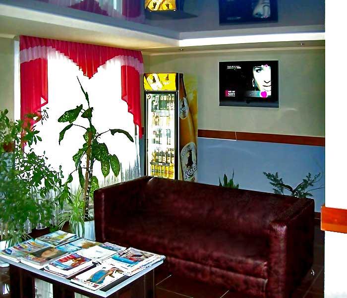 Фото Гвоздика