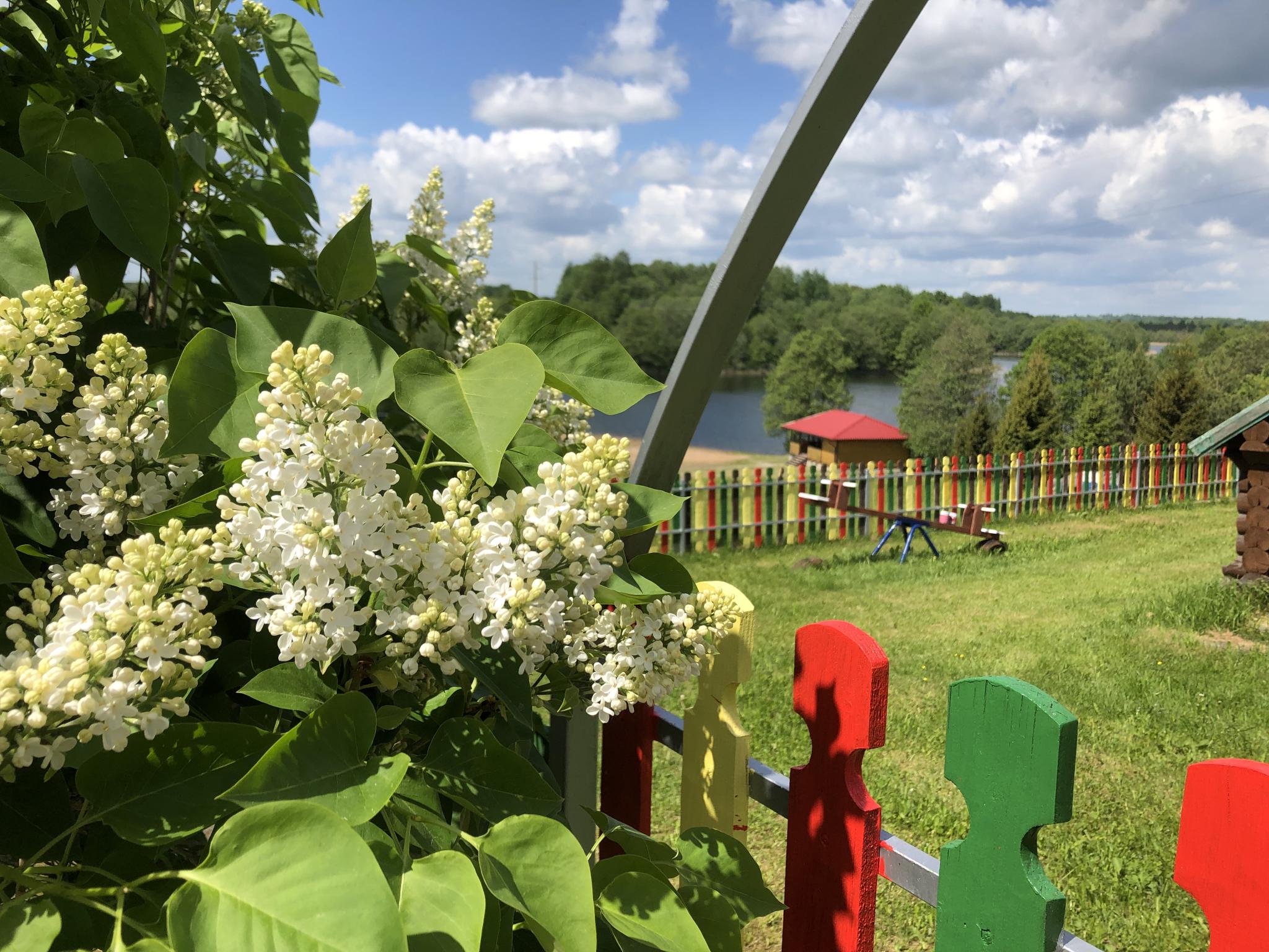 Фото Лесная гавань