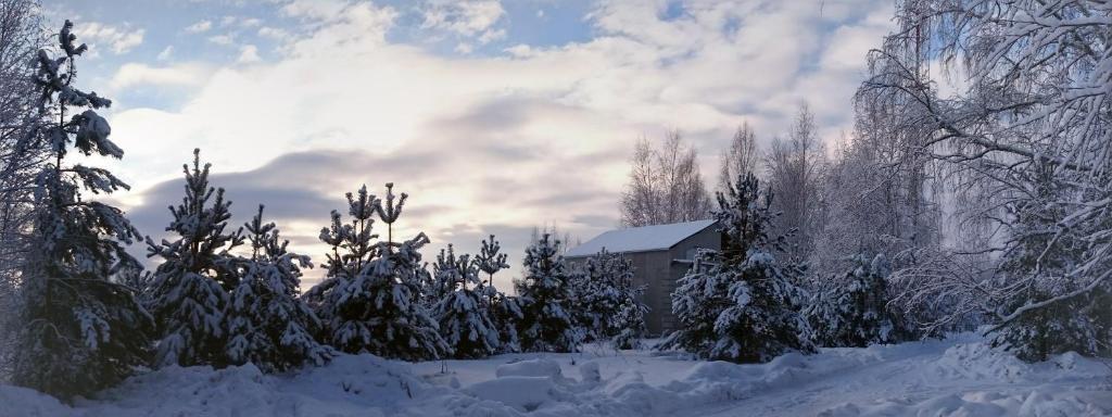 Фото НиКиТа