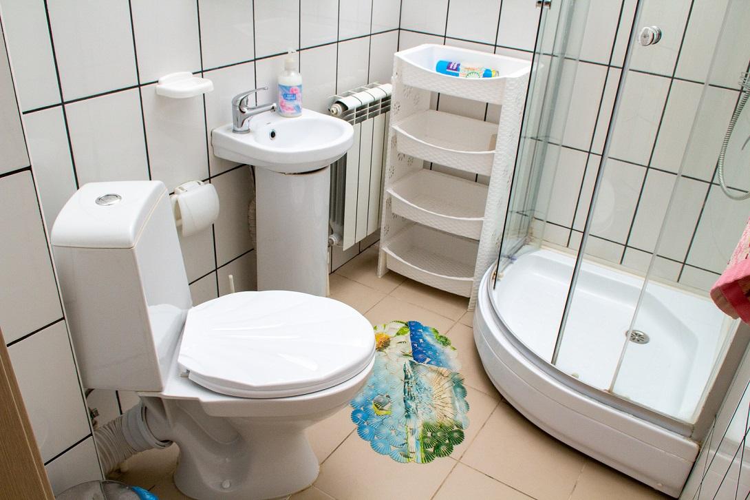 Фото Абрикос