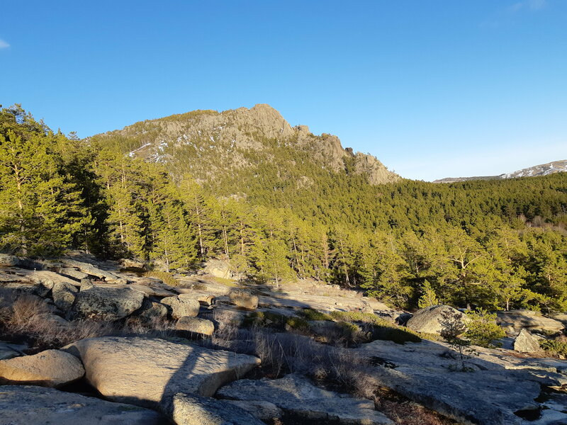 Вудманның жаңа кастингтері