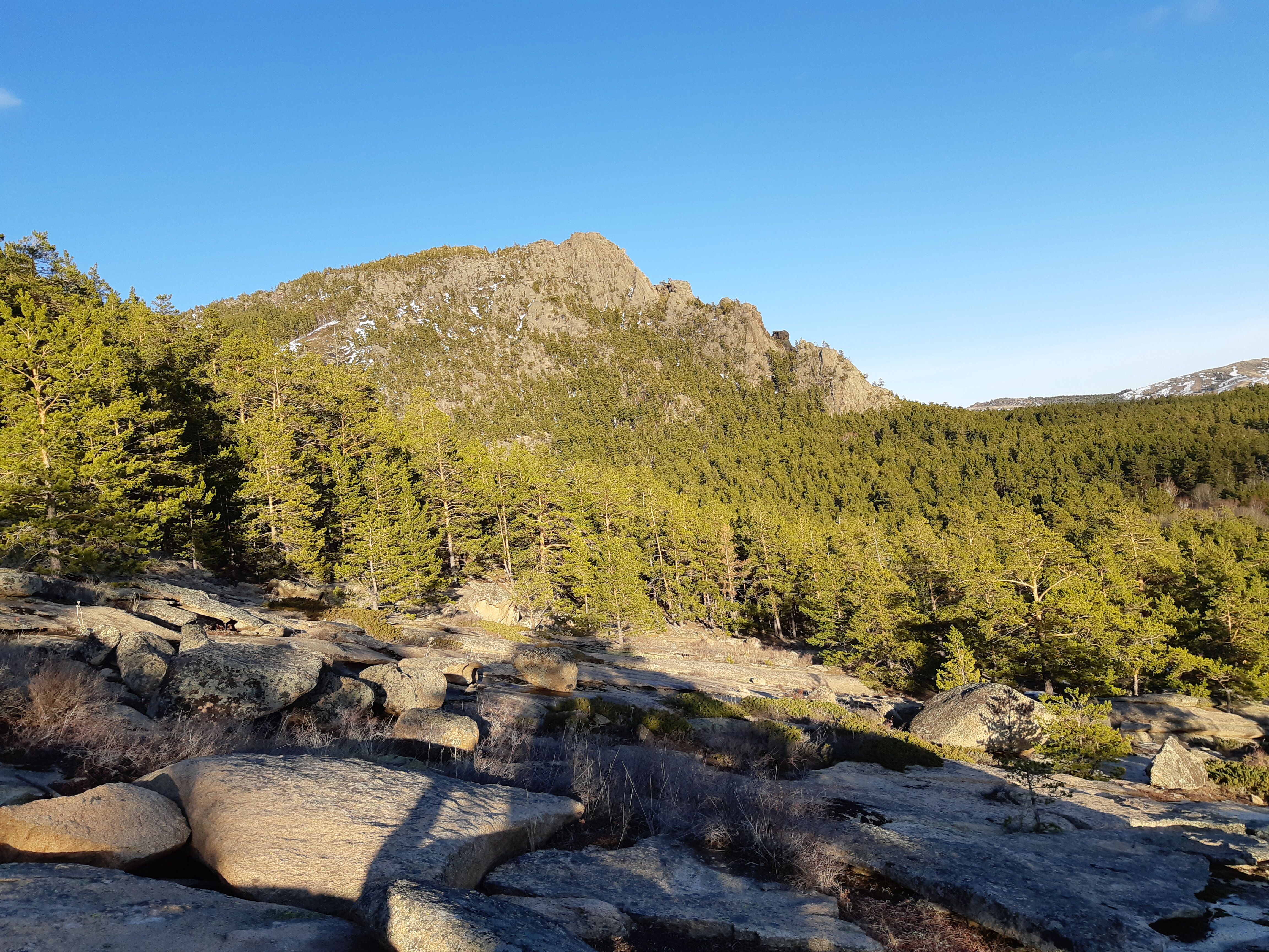 Лесби гинекологтары