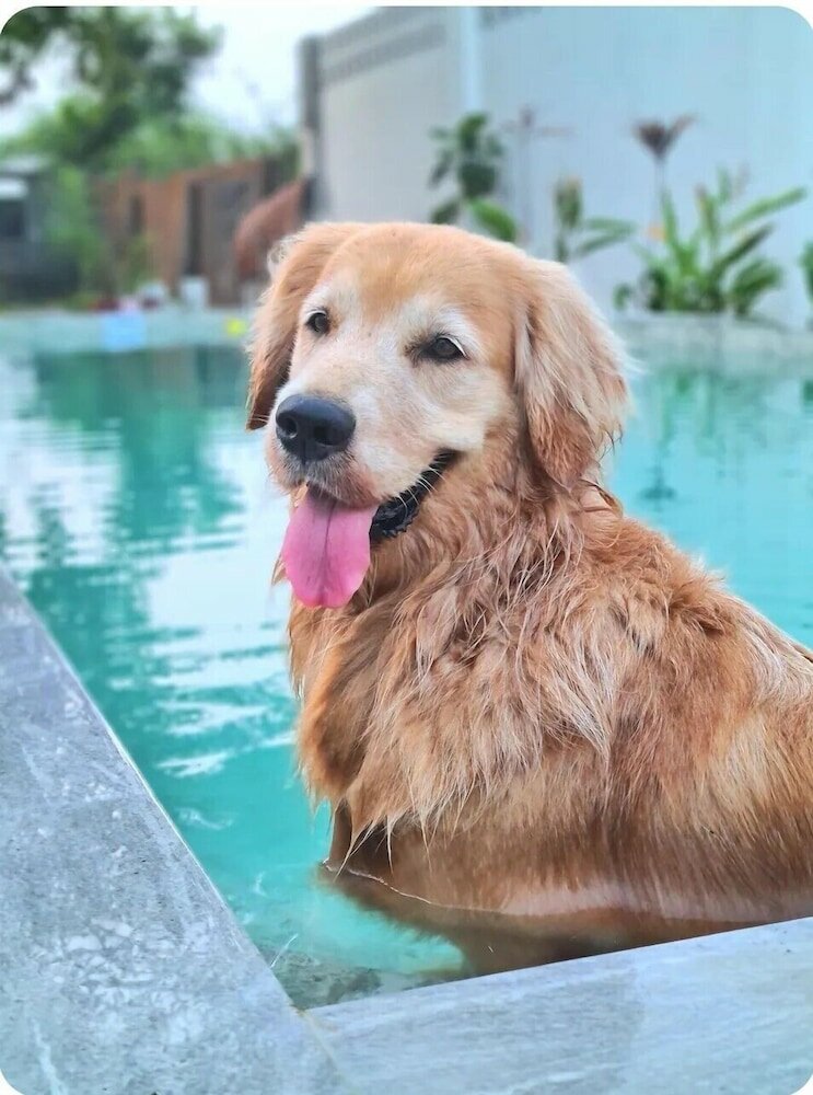 Фото 148 Guesthouse and Resort