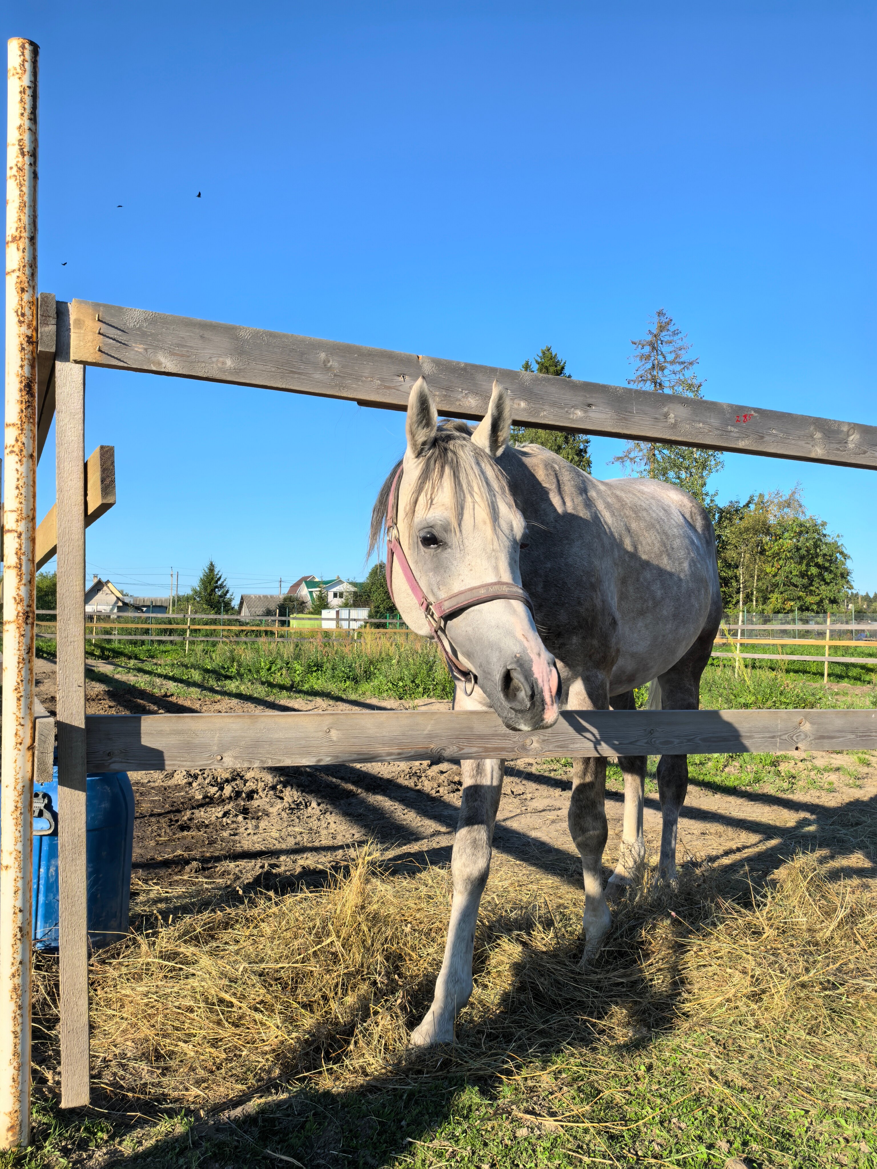 Фото Монтенегро