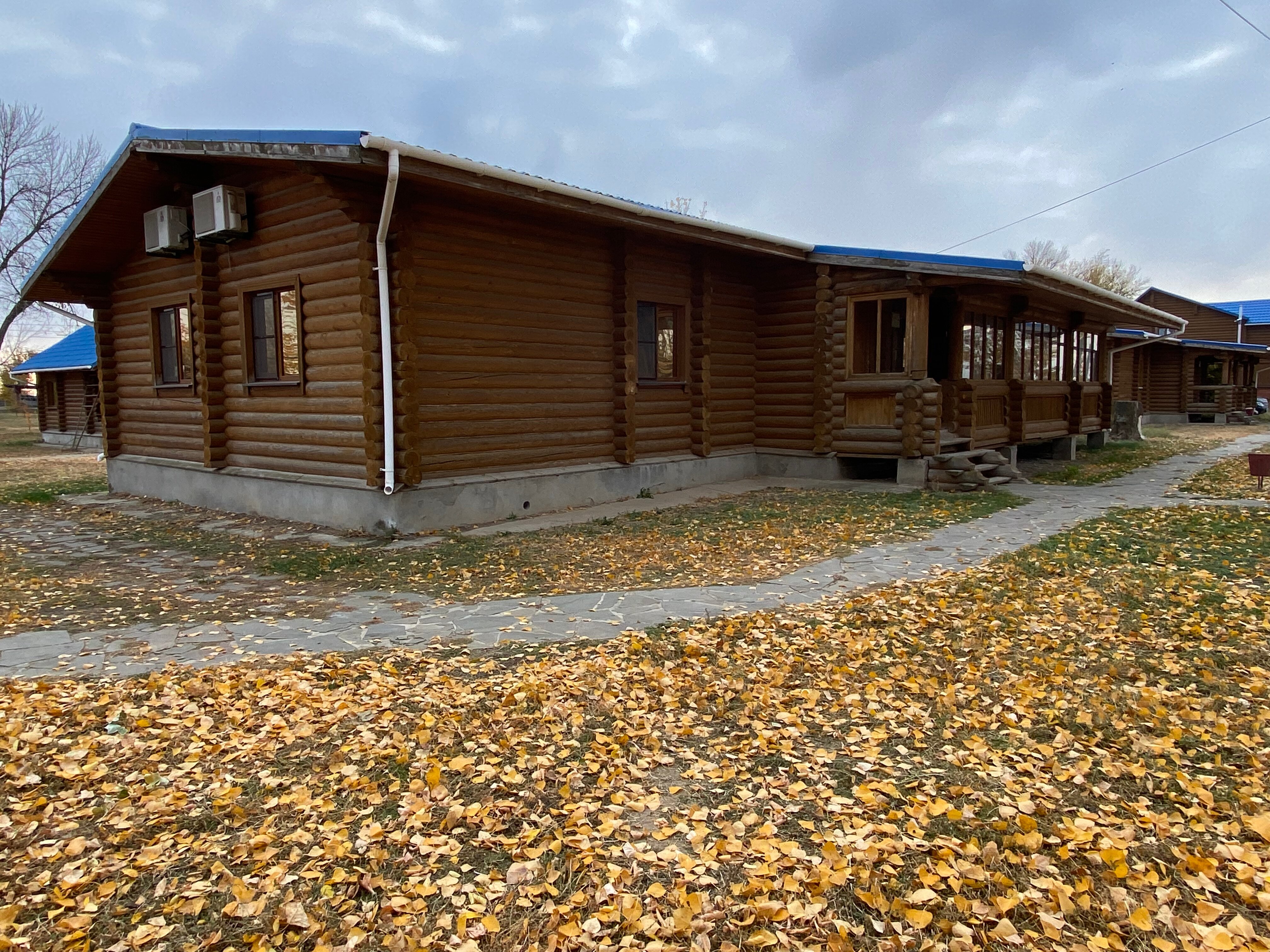 Фото Синяя птица