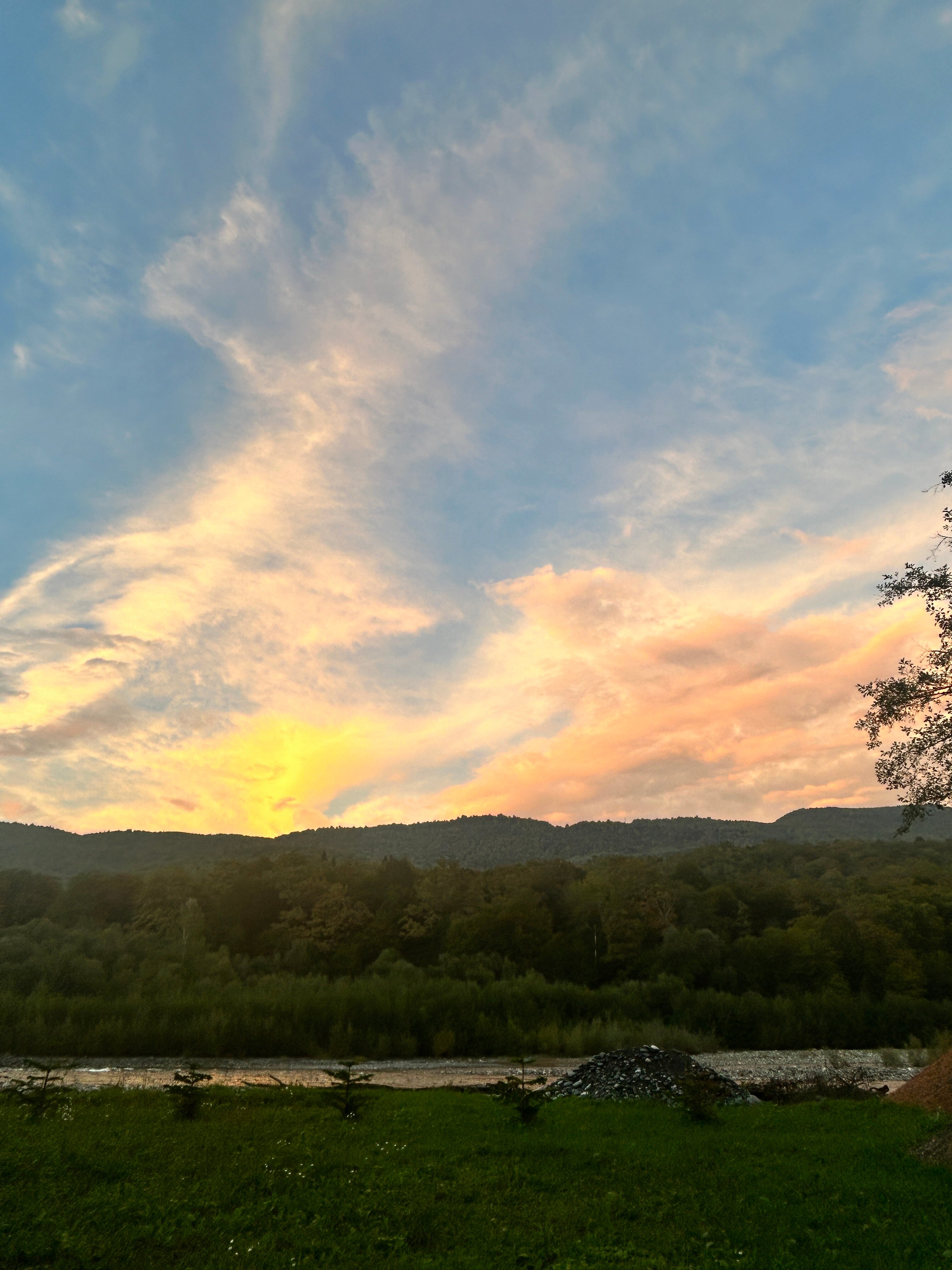 Фото Дикий дом