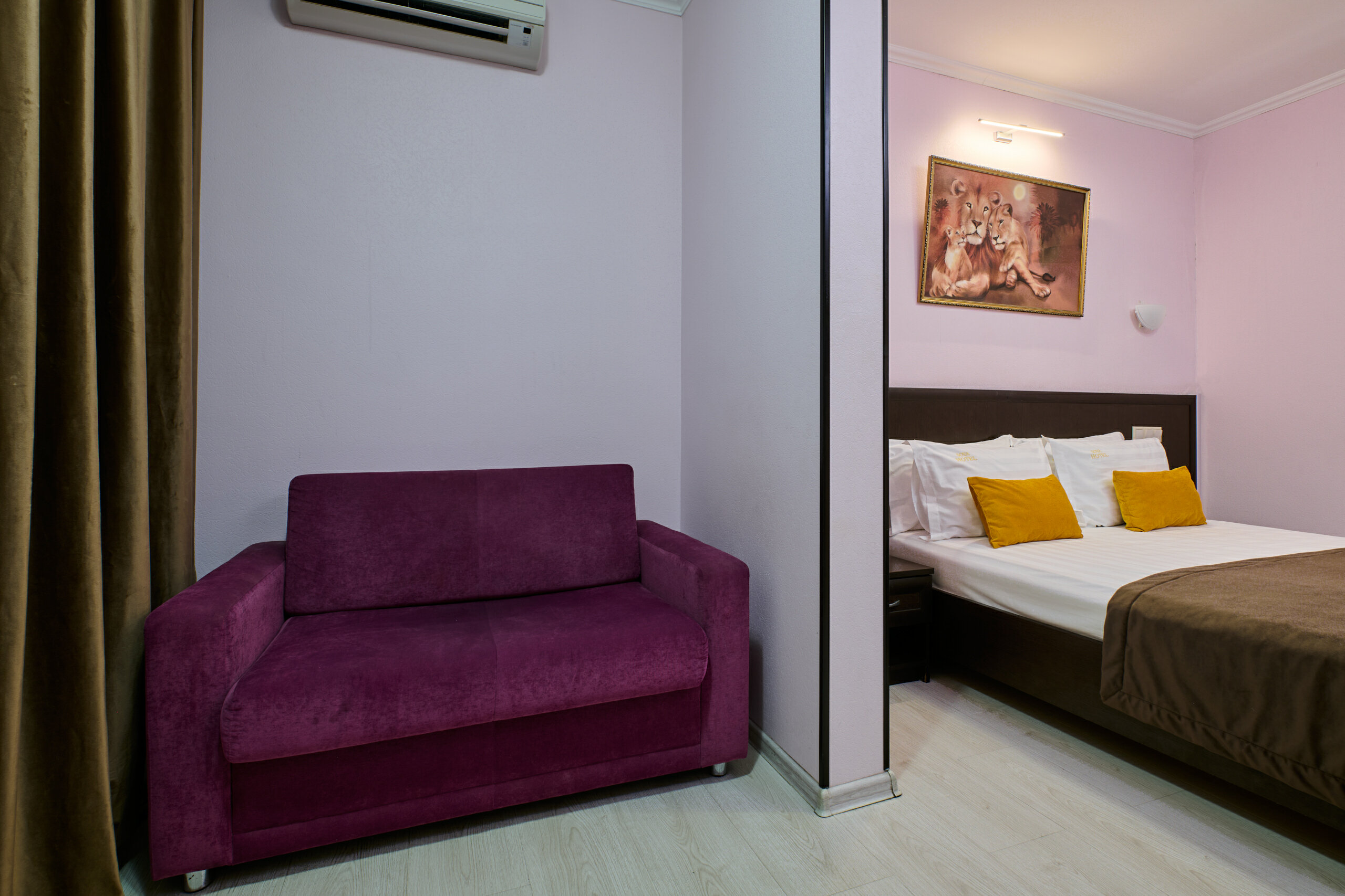 Фото Колибри