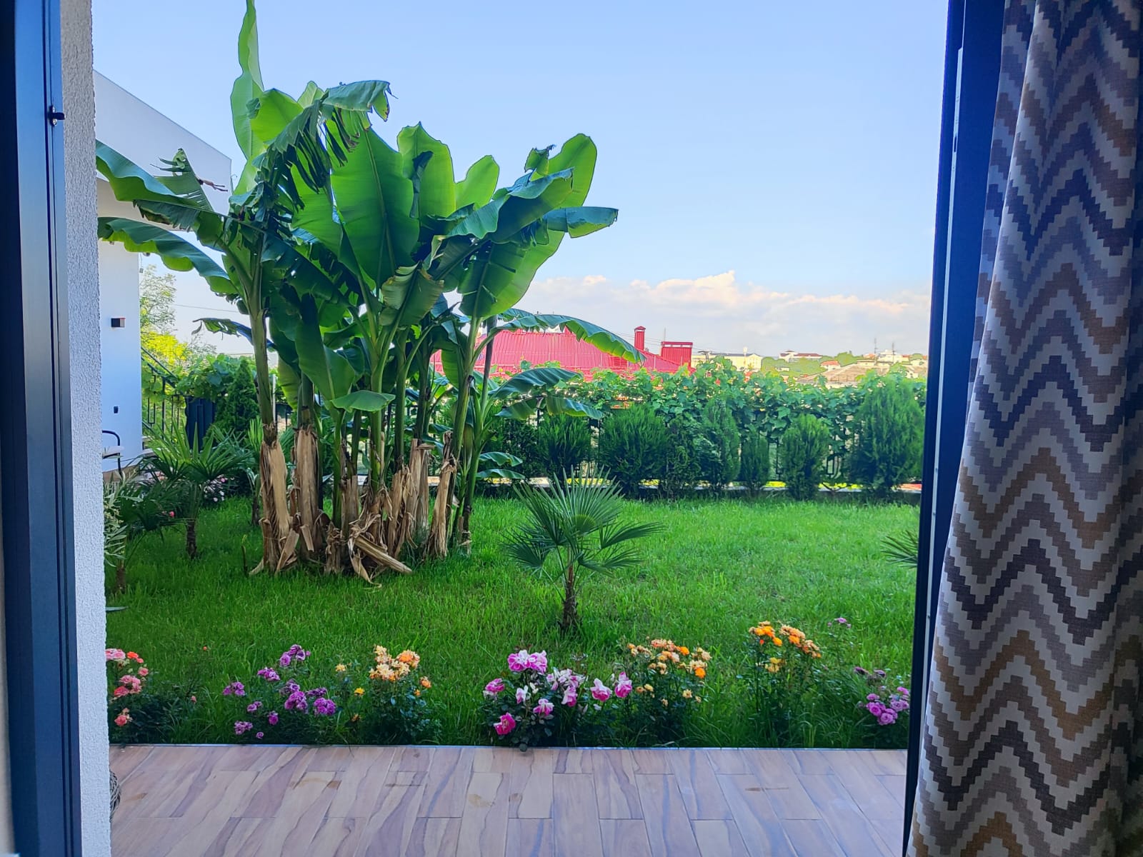 Фото Аристо