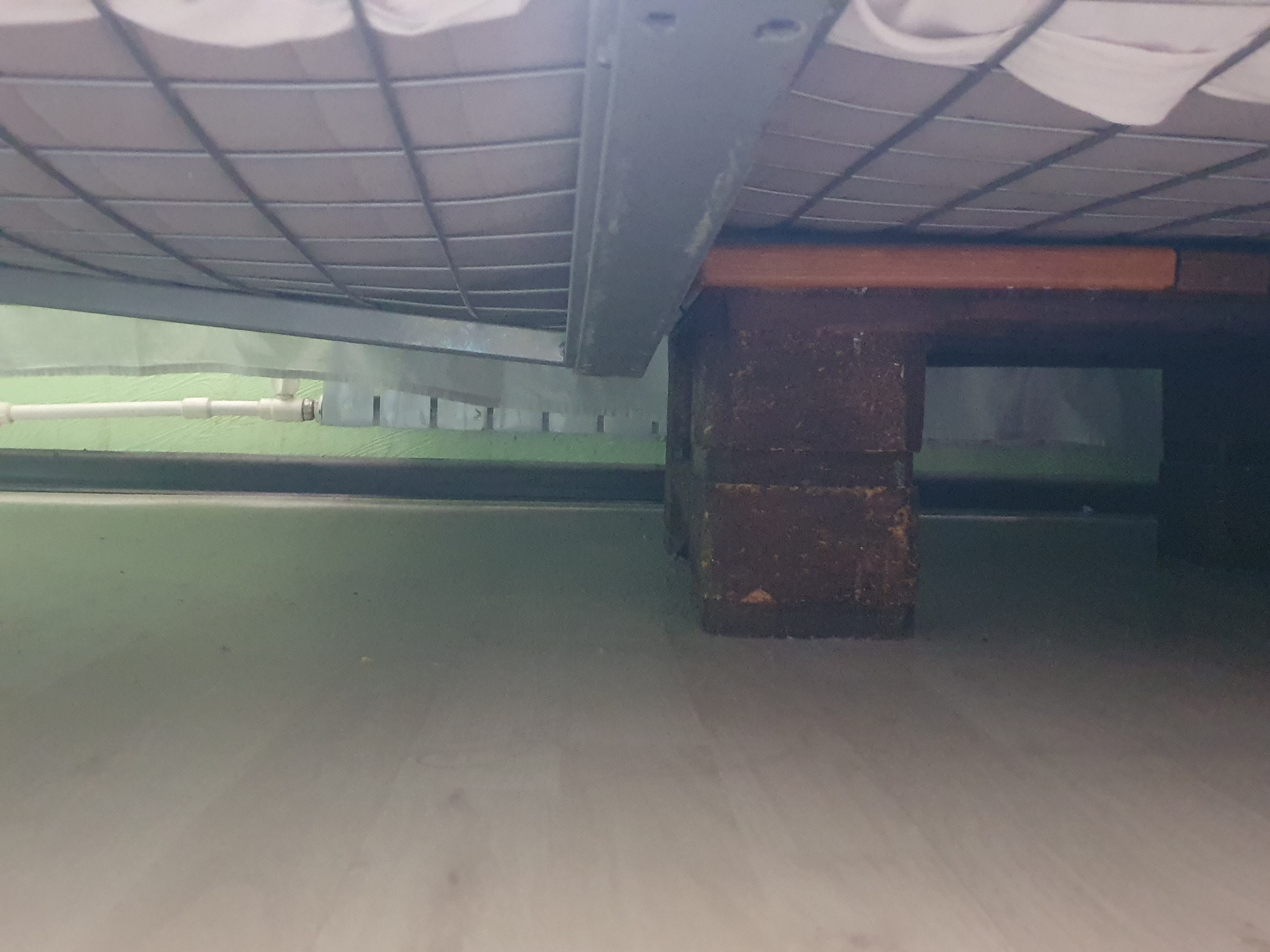 Фото Галерея