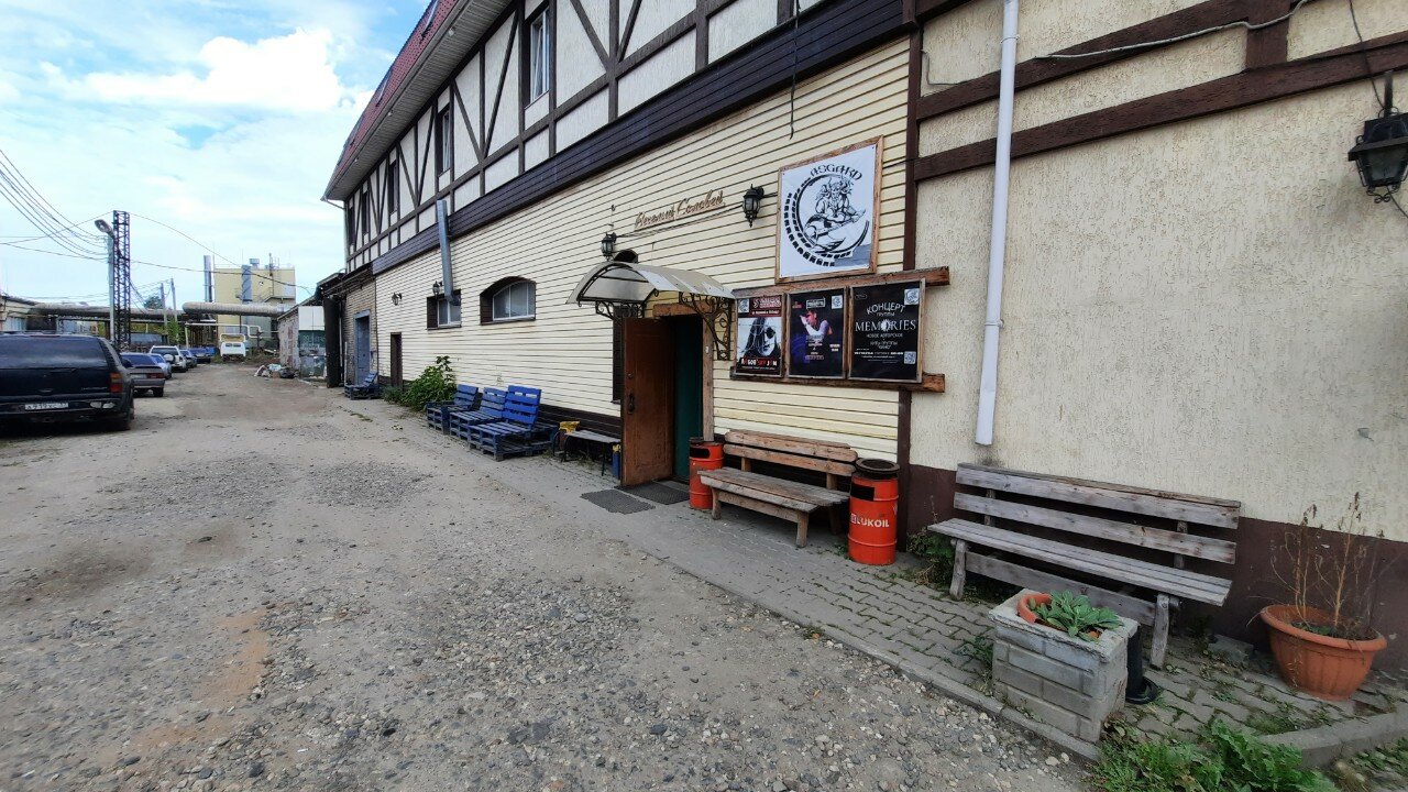 Фото Веселый соловей