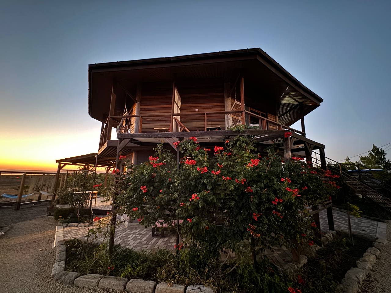 Фото Фридом