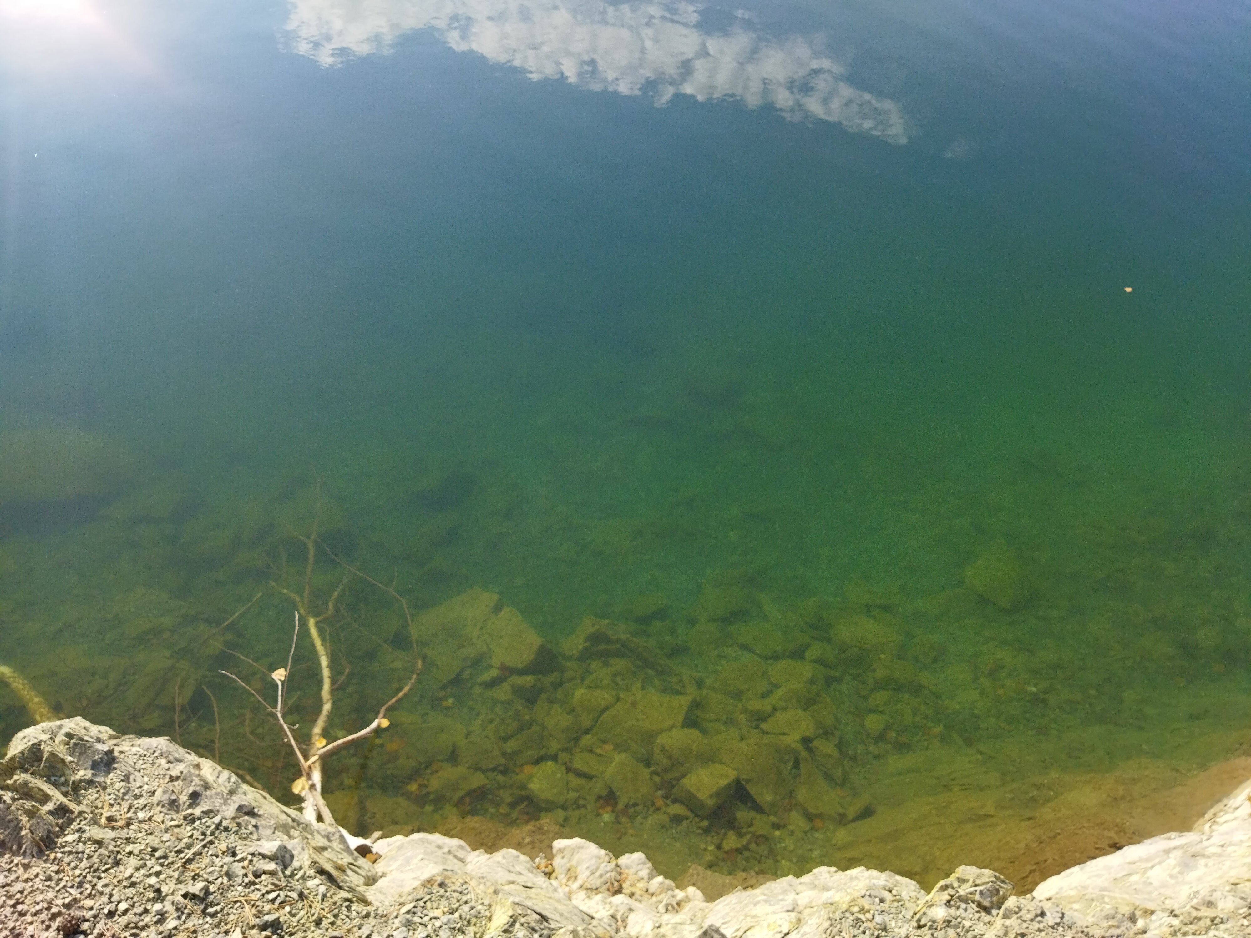 Фото Forest tale