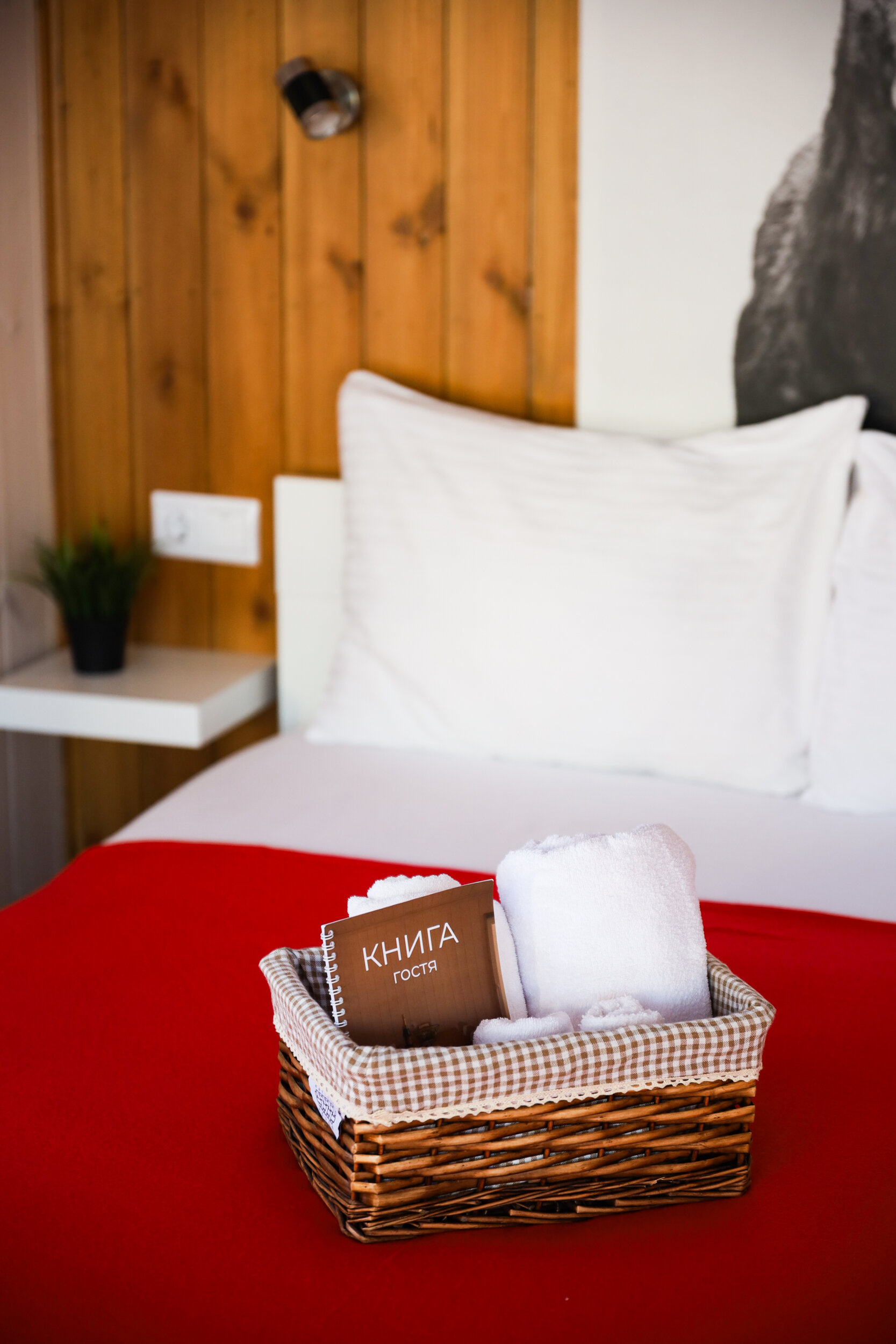 Фото На опушке