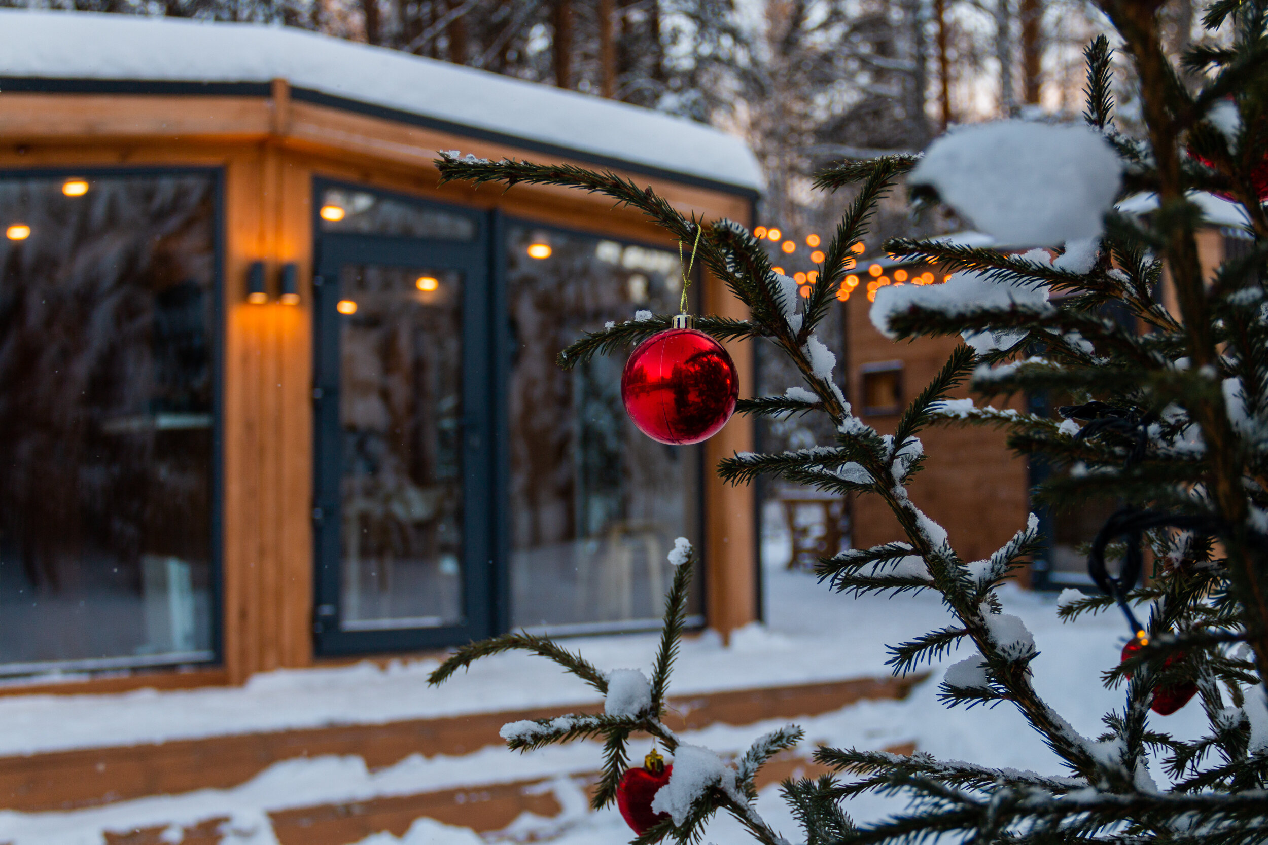 Фото На опушке