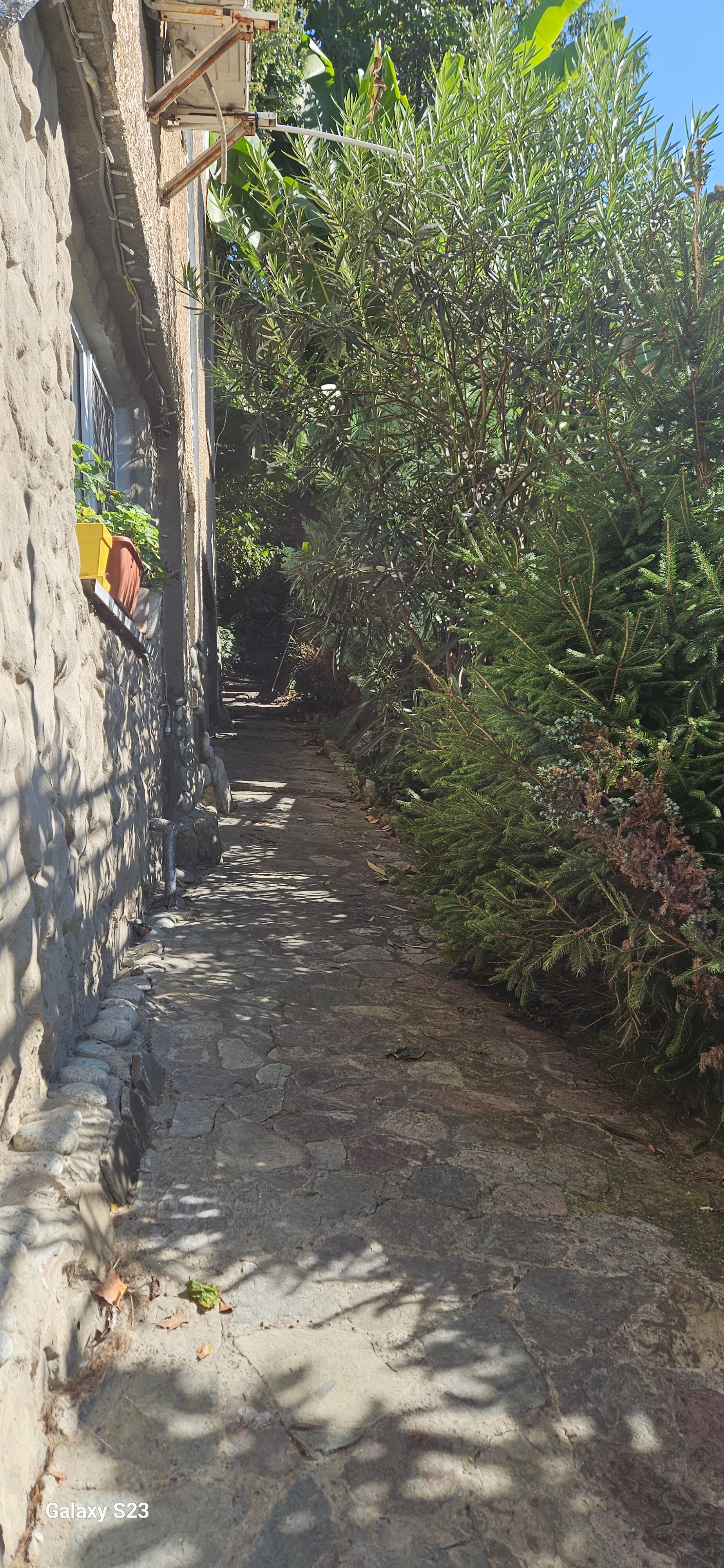 Фото Тихий дворик