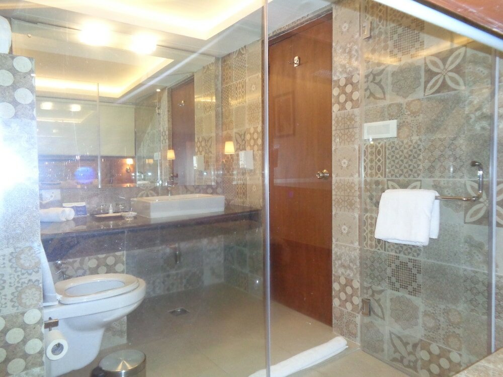 Фото Rs Sarovar Portico Palampur