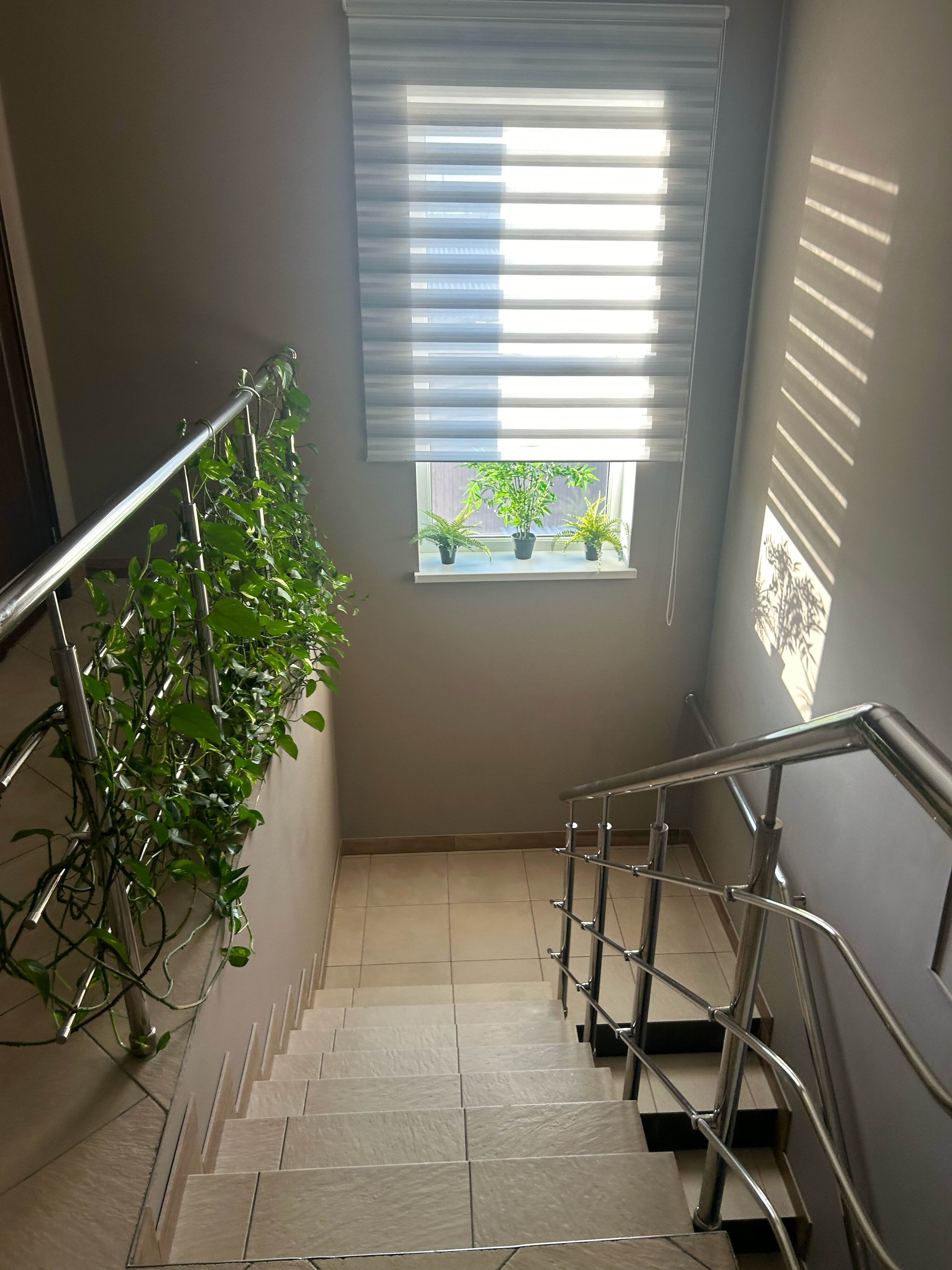 Фото Отель Олимп