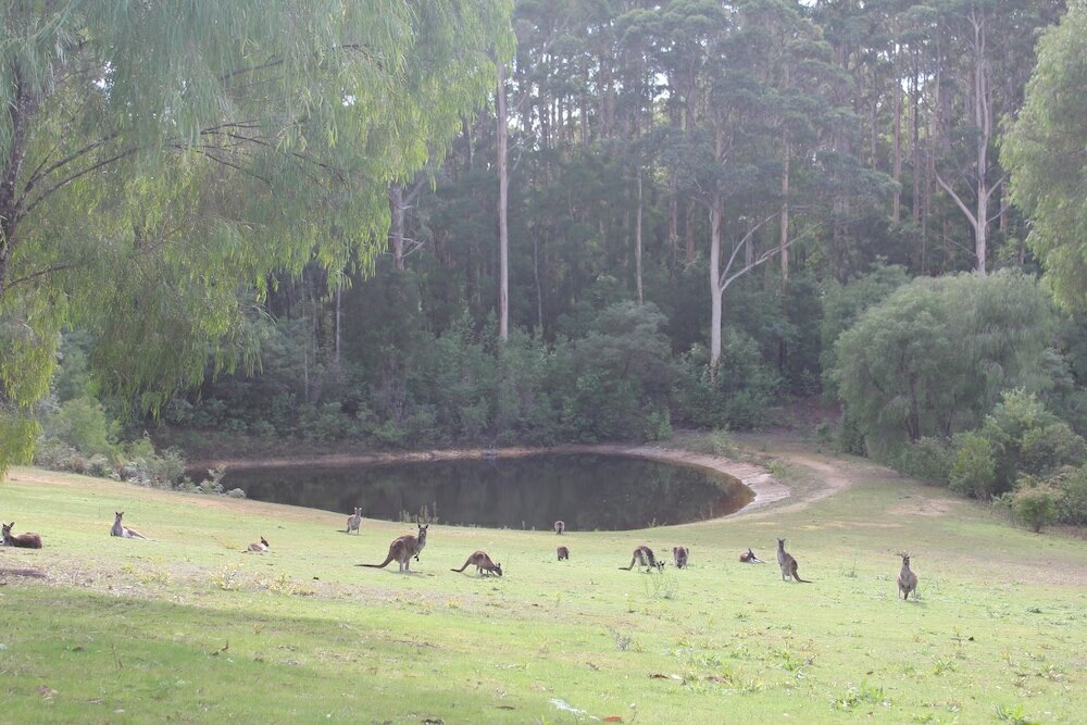 Фото Marima Cottages