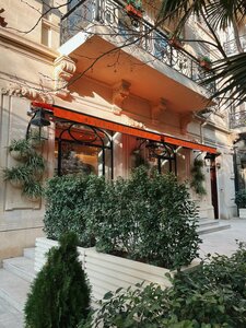 Katta kokrak va yubkadagi katta eshak