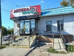 AlfaMed (Abaya street, 126), pharmacy