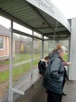 Микрорайон Аверьянова (Moscow Region, Dmitrov, Professionalnaya Street), public transport stop