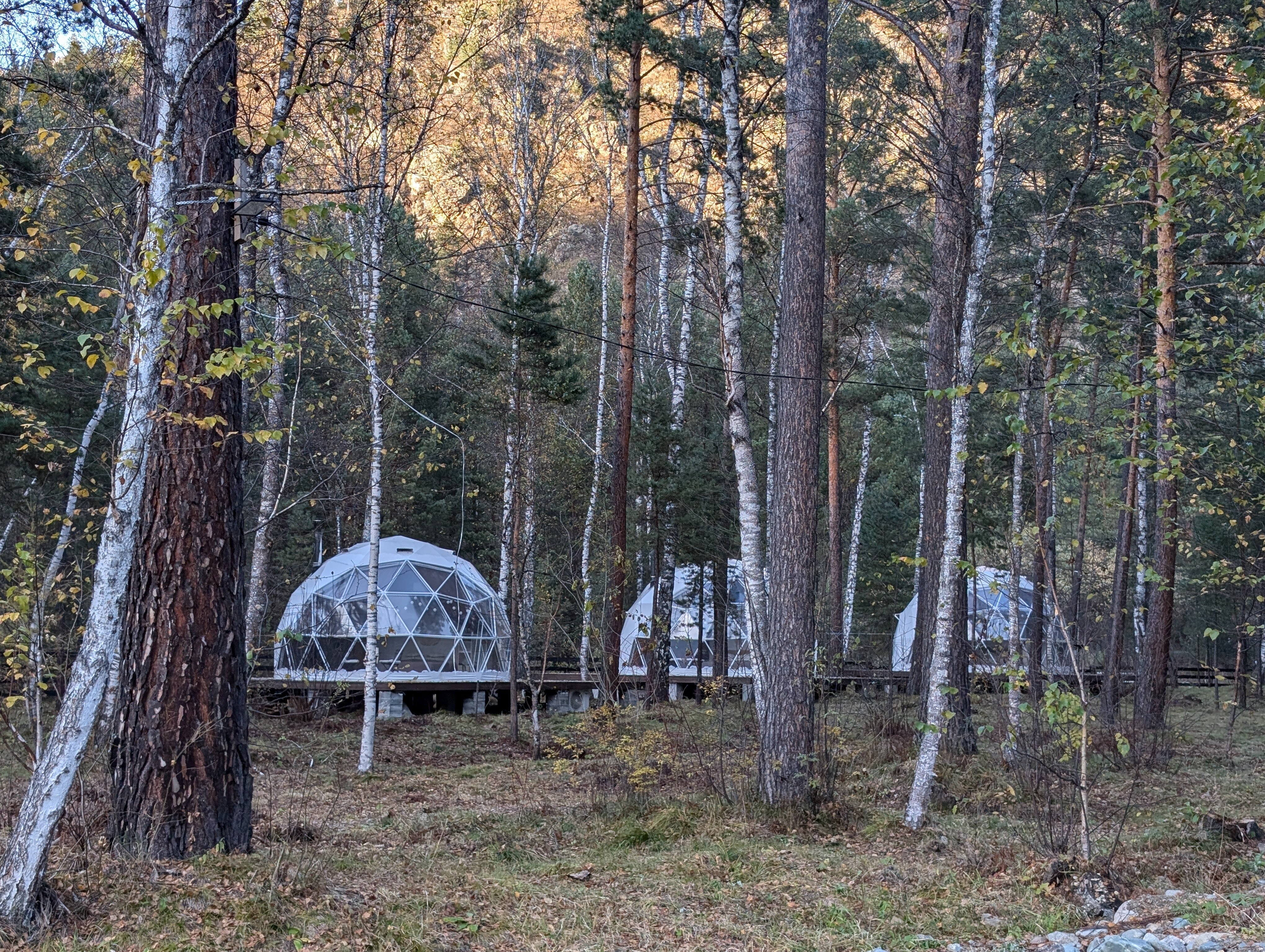 Фото Эко-парк Алтай Грин