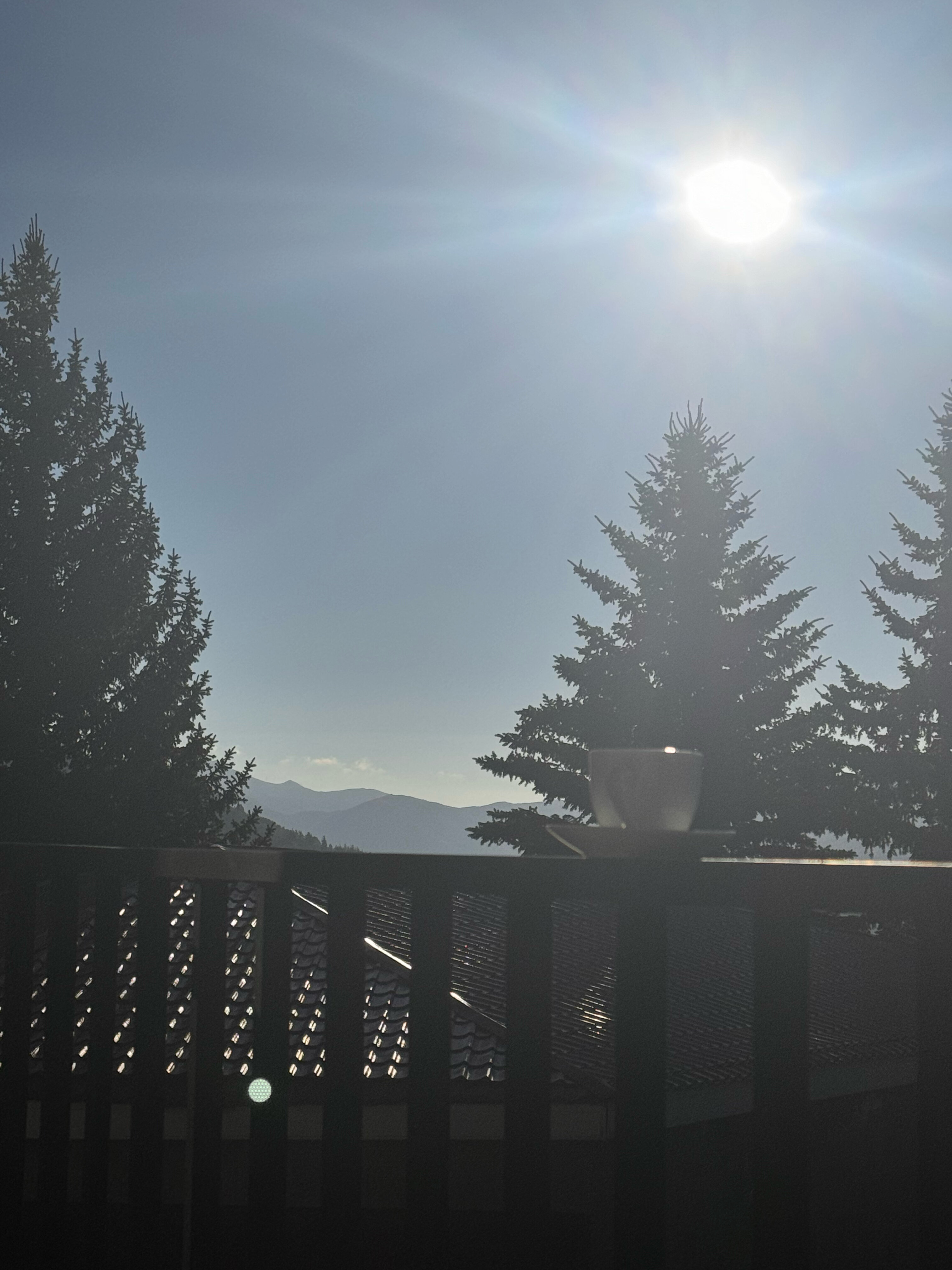 Фото 156473314536