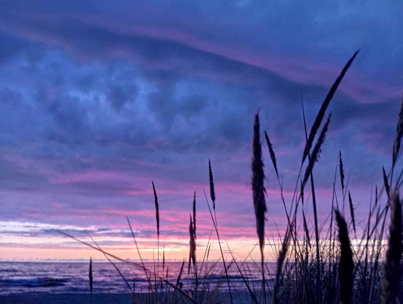 Фото Отдых на Куршской косе