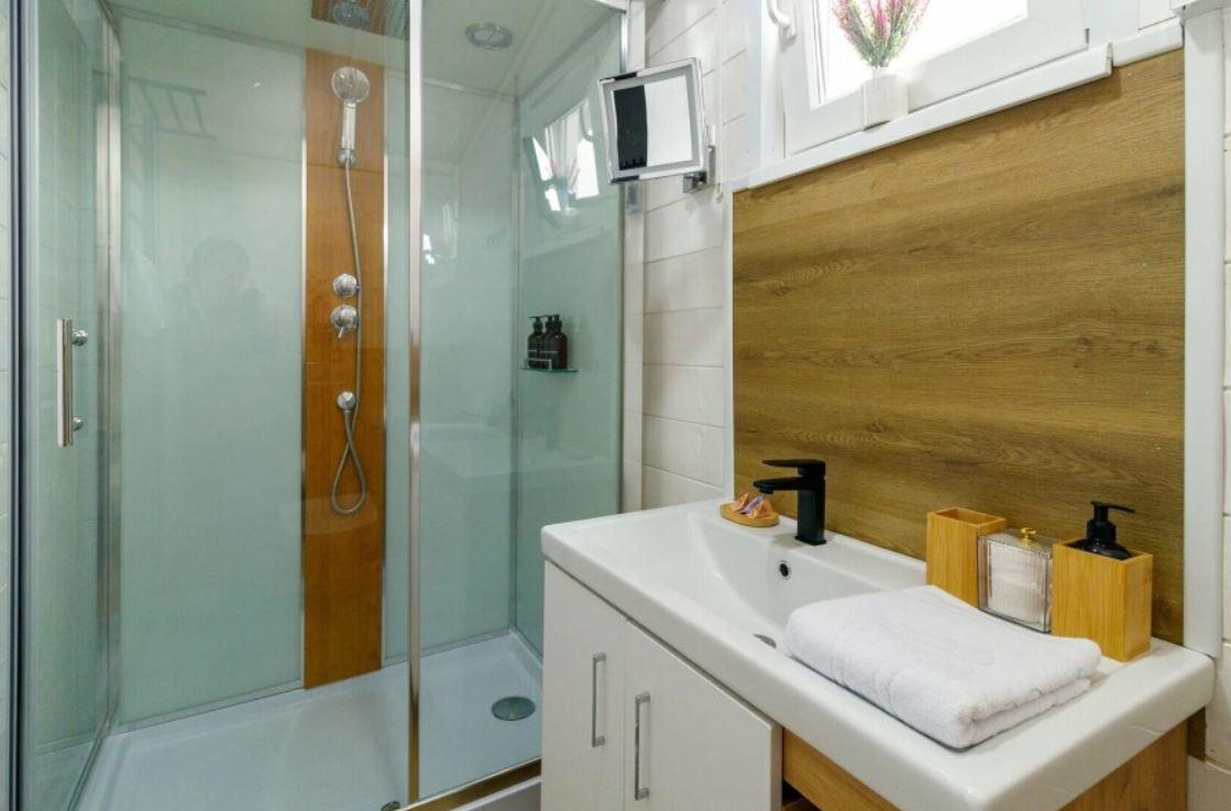 Фото Альбатрос