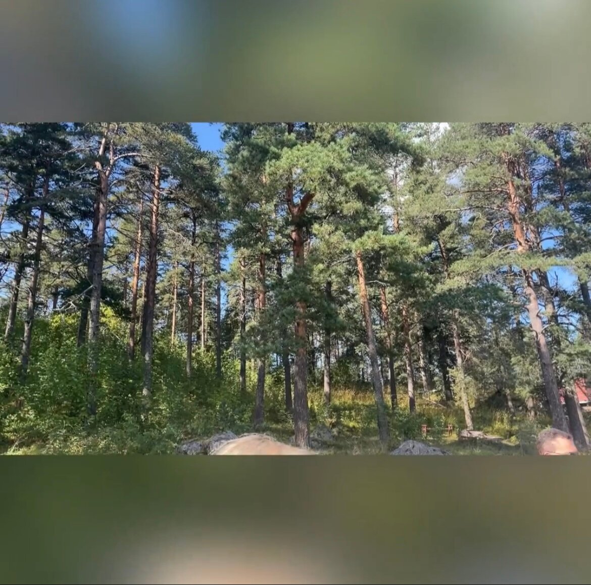 Фото Хутор Milka