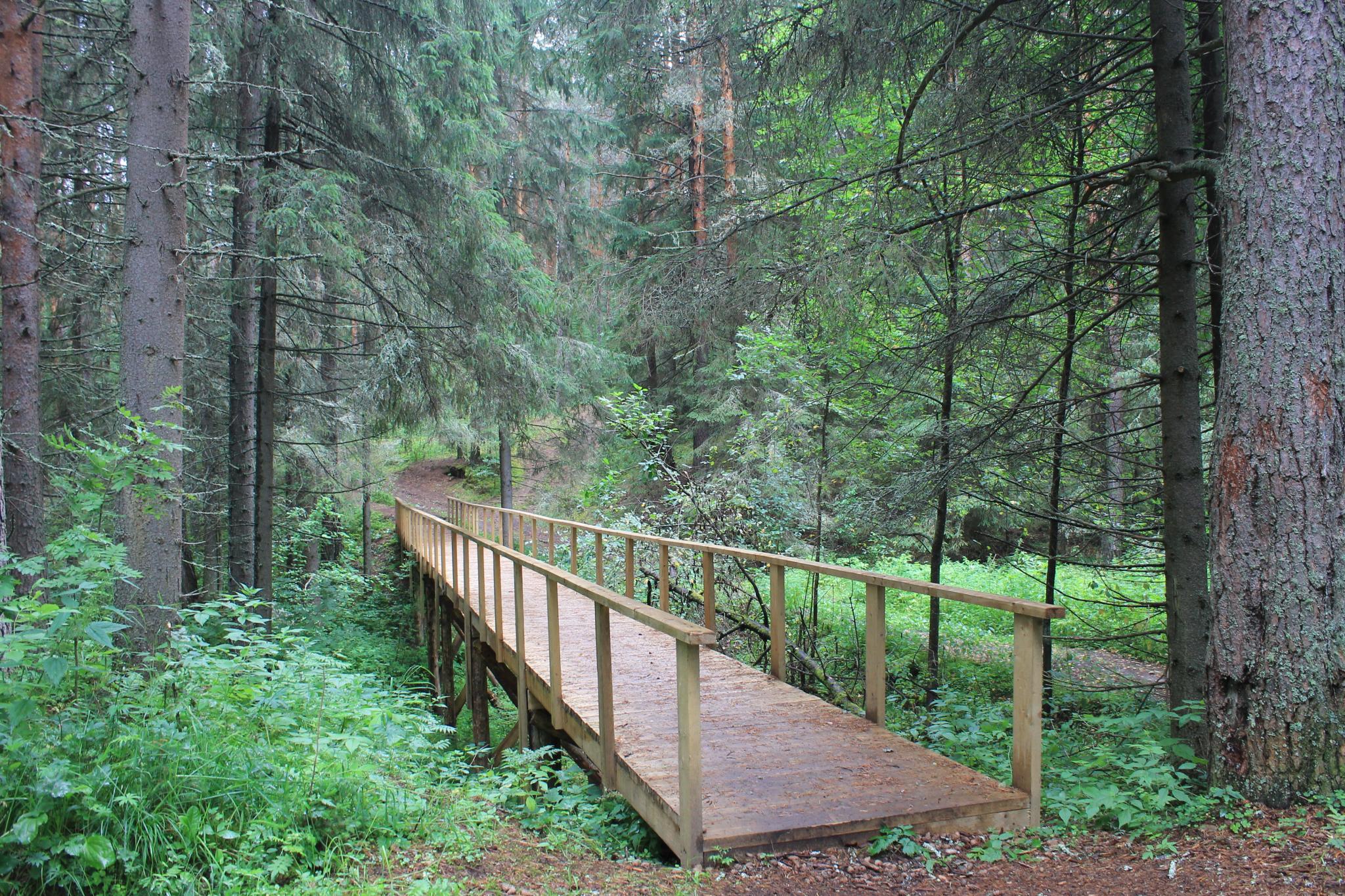 Фото Солониха