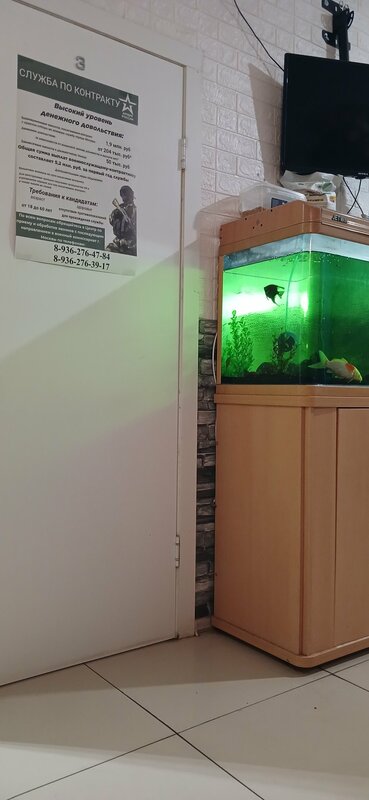 Travel Inn на Первомайской — фото 11