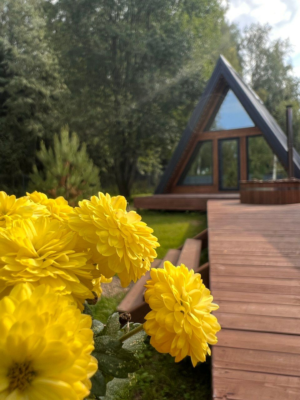 Фото Ky_ky. house