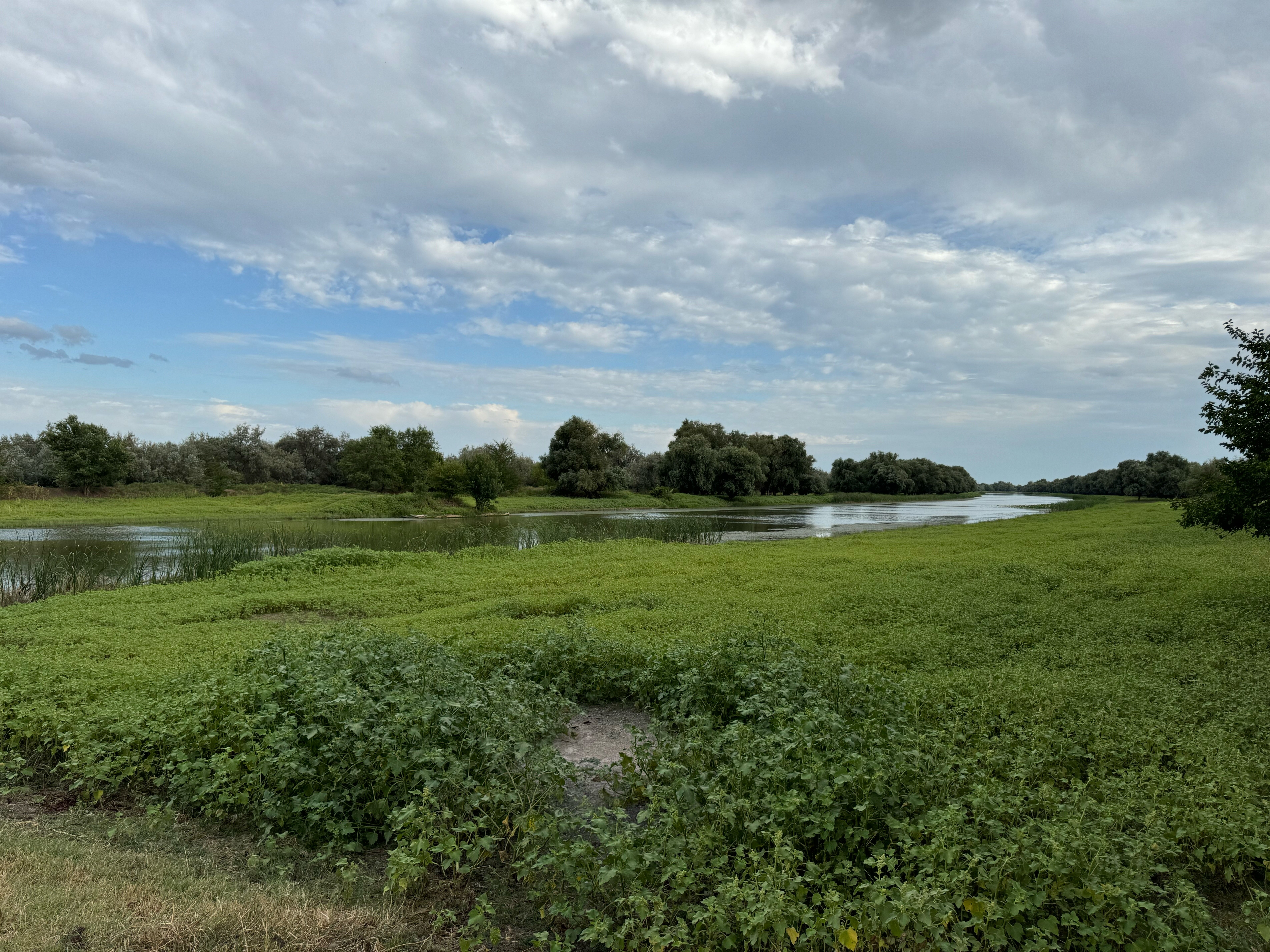 Фото Загородный парк Баклушино