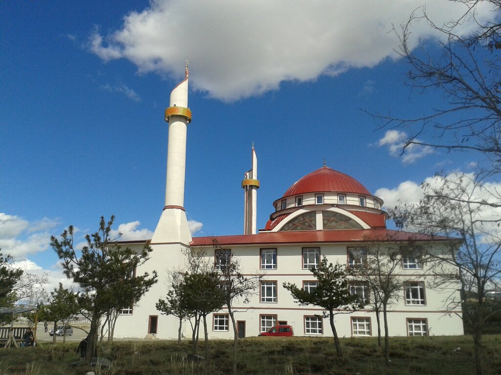 Asociaciones y sindicatos industriales Erzurum Pasinler Culture Assistance and Solidarity Association, , foto
