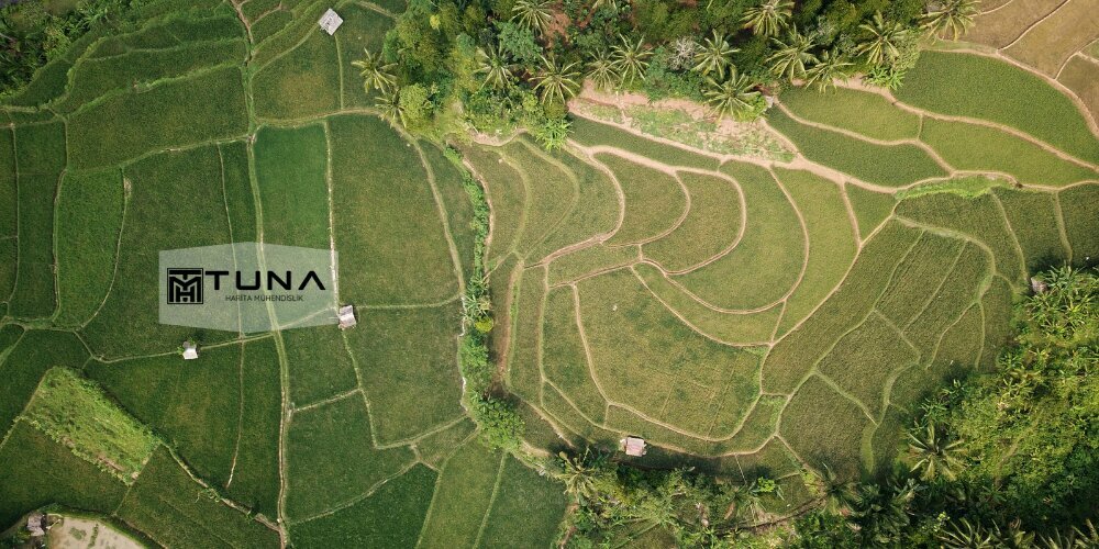 Map production Tuna Map Engineering, Seferihisar, photo