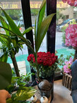 Basak International Florist (Kayseri, Sivas Boulevard, 50), flower shop