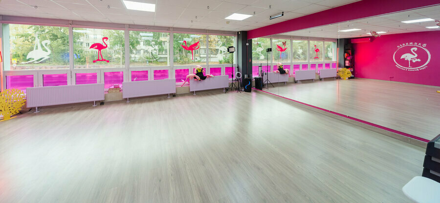 Fitness club Flamingo, Zhukovskiy, photo