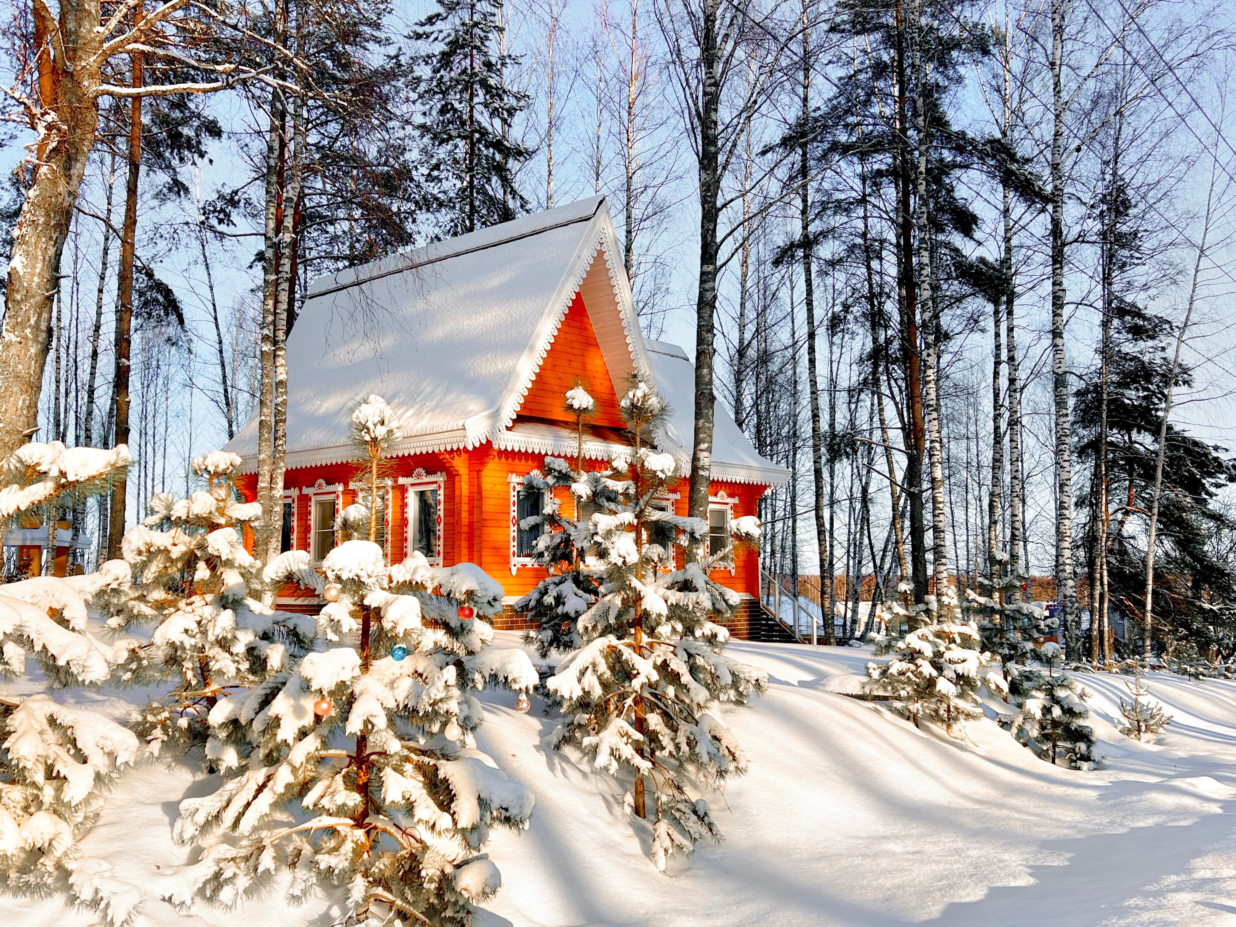 Фото Агропарк Ясенево