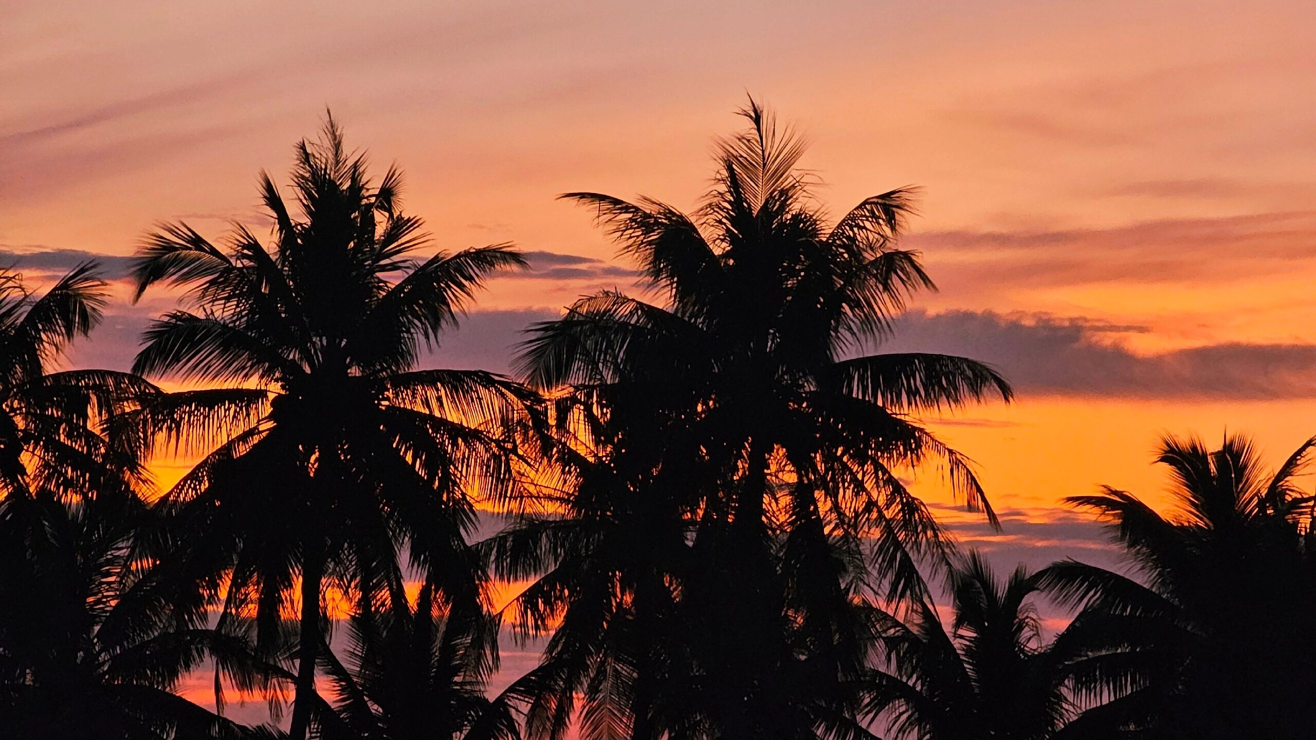 Фото Whaleshark Beach