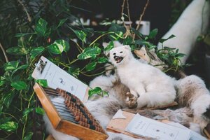 Гостиница Mary-Ann