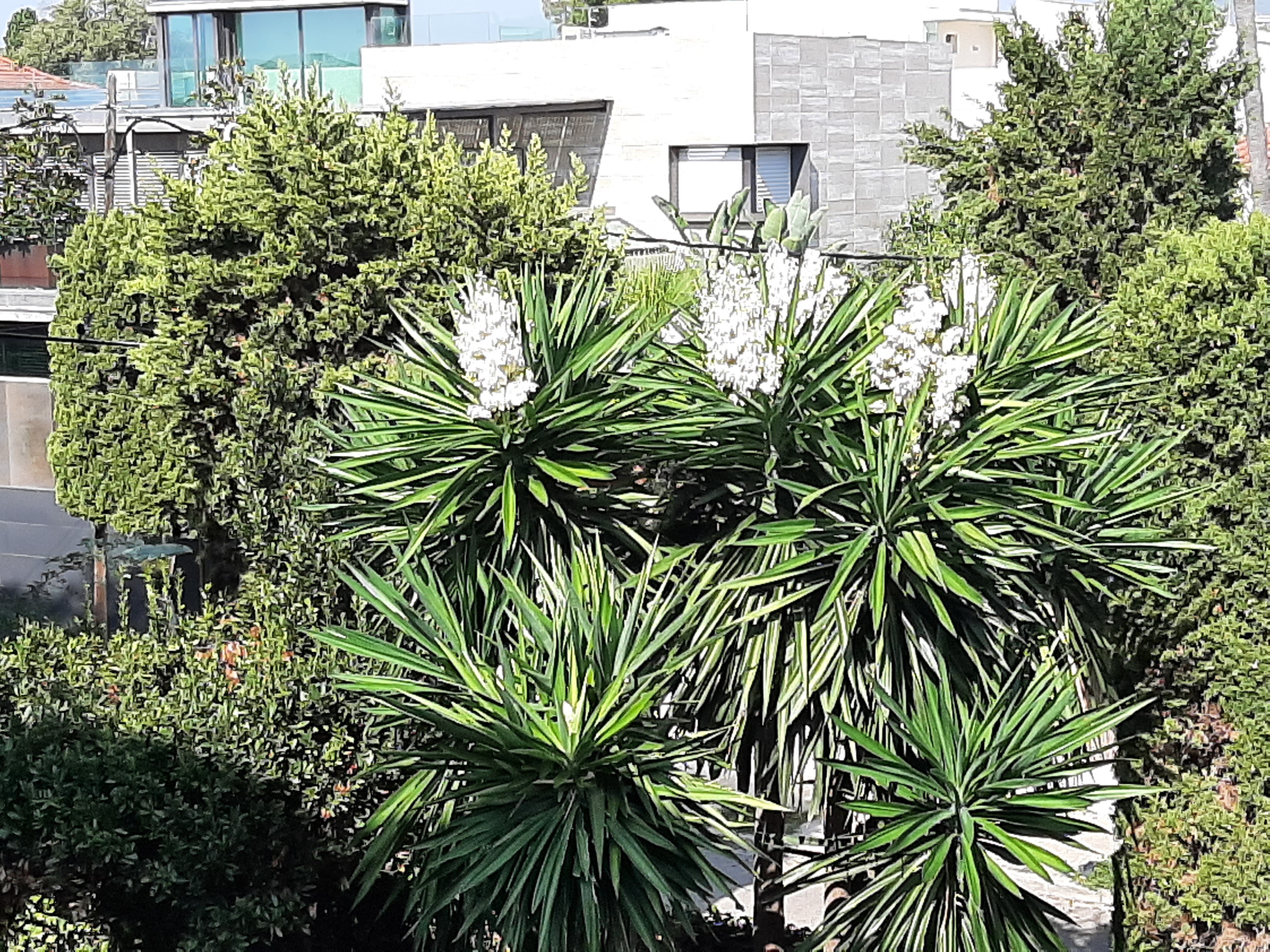 Фото Отель Subur Maritim