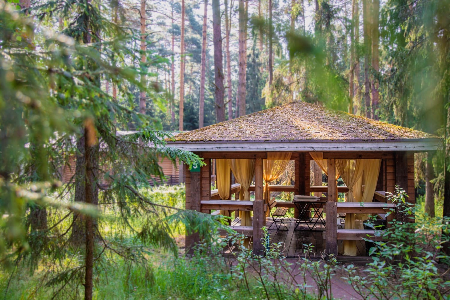 Фото Изумрудное