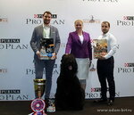 International Kennel Adam Racy Style (Druzhby Street, 2/19) ، مربي الحيوانات