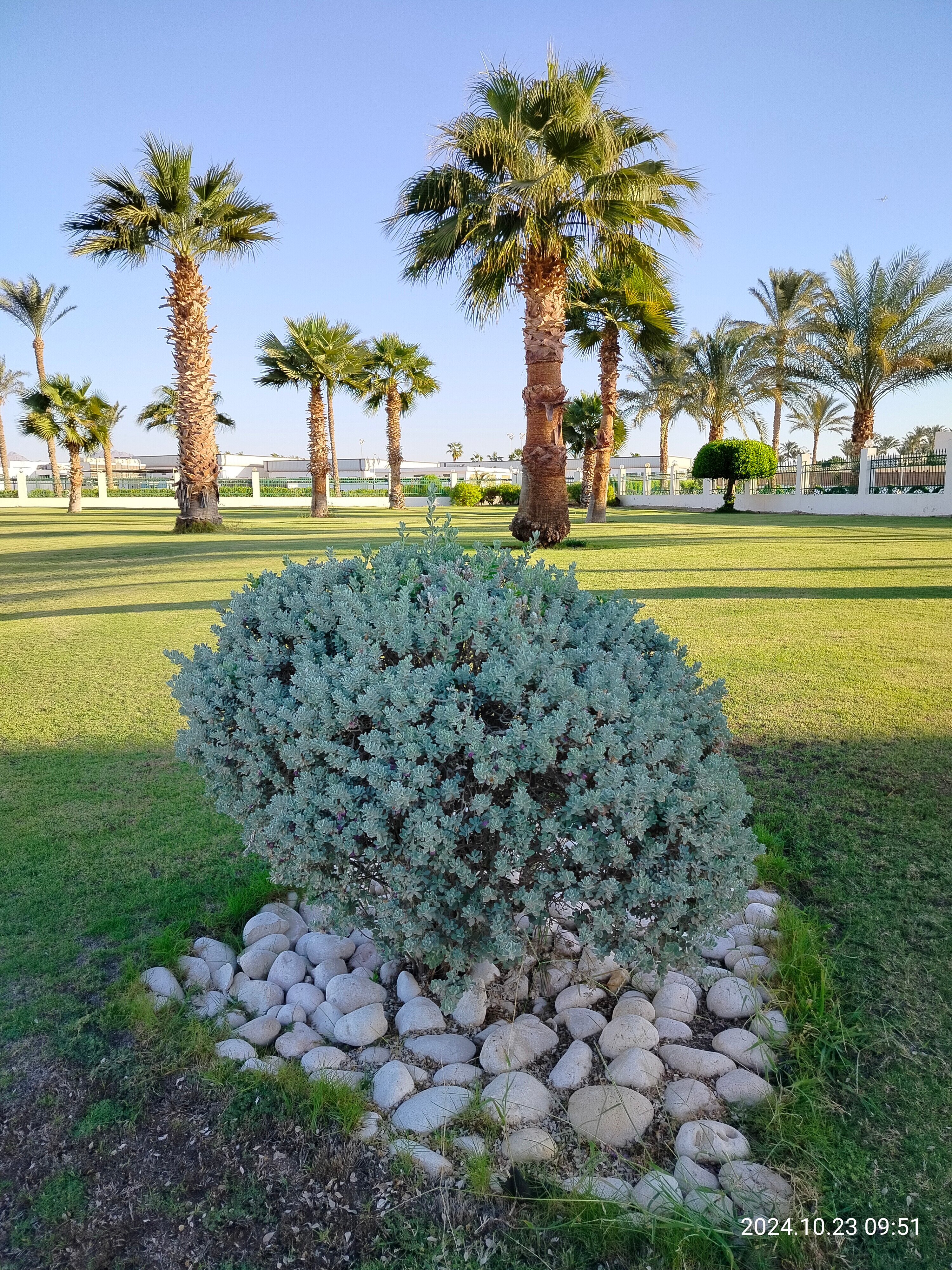 Фото Pickalbatros Golf Beach Resort