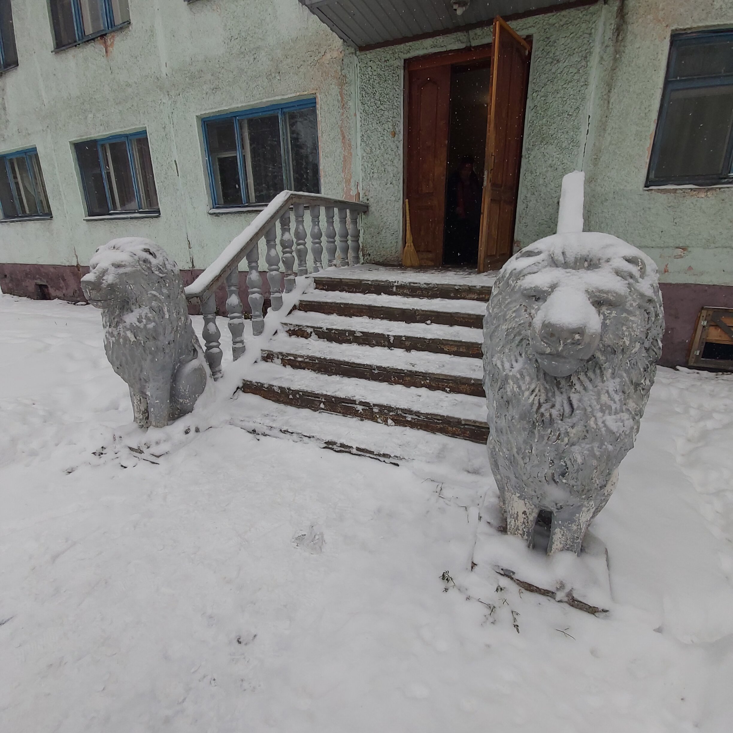 Фото Лесная сказка