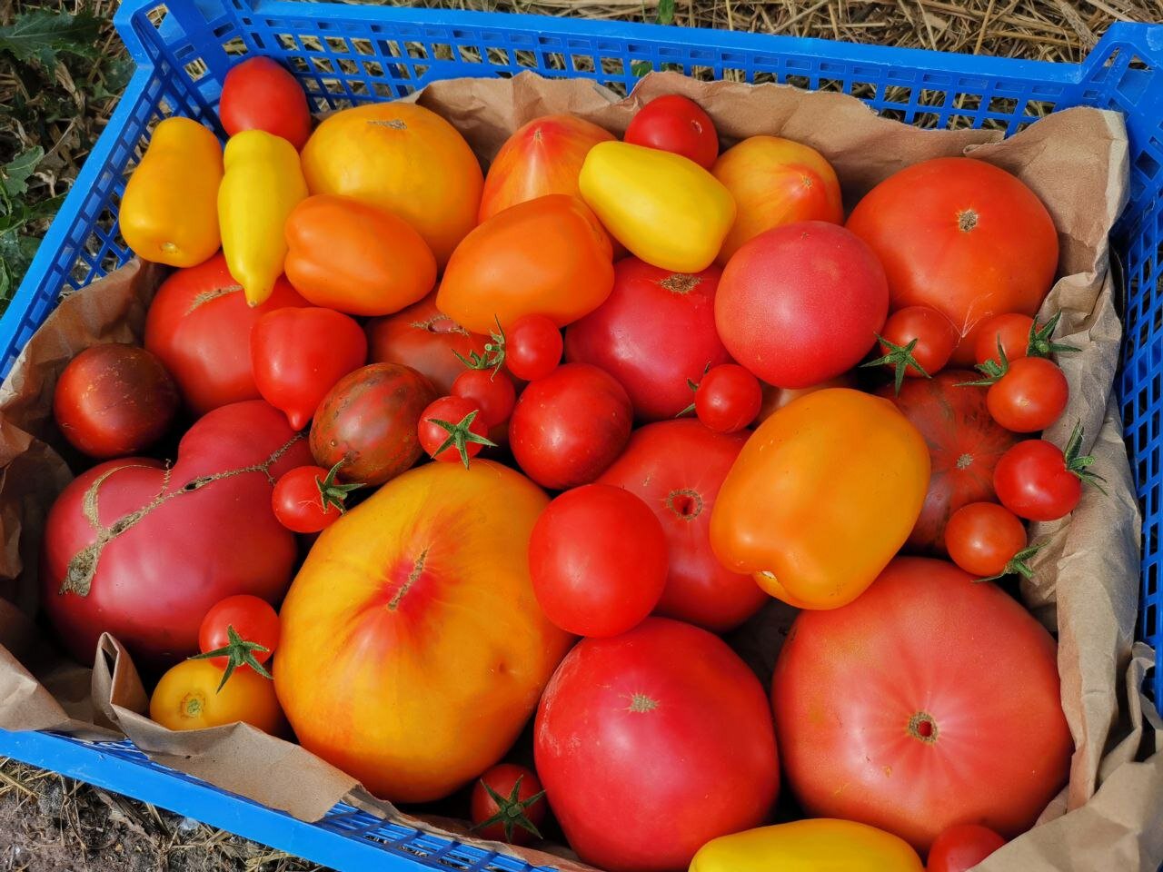 Фото Усадьба Косолапово