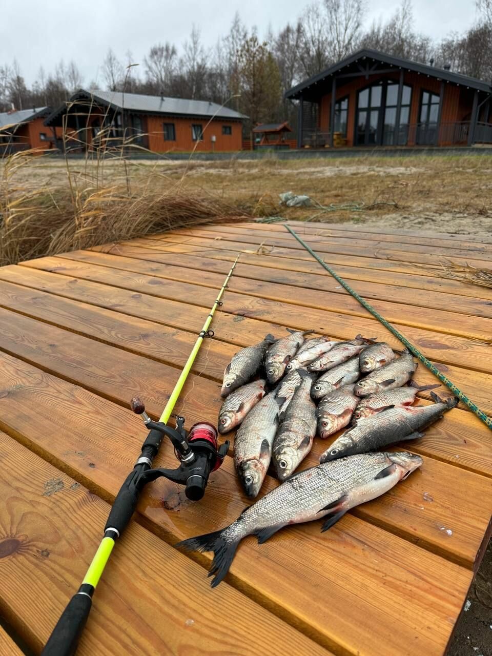 Фото Вилла Ялгуба